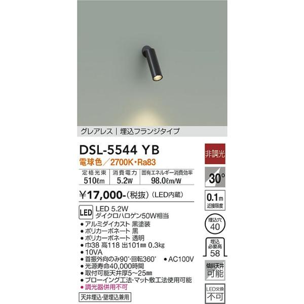 安心のメーカー保証 DSL-5544YB 大光電機 LED スポットライト