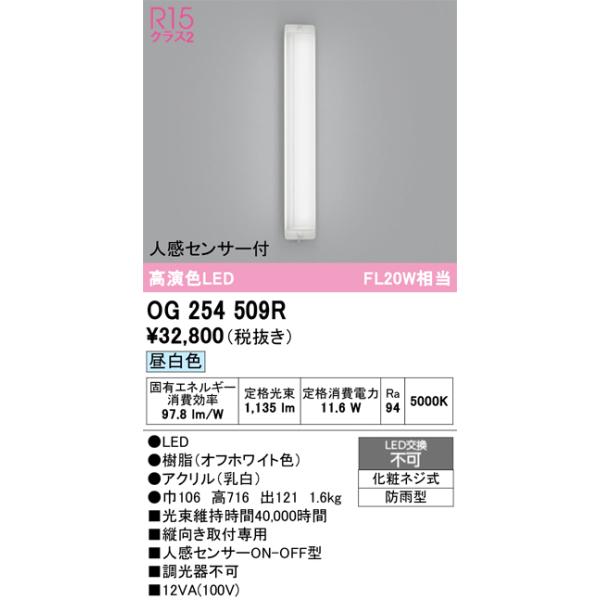 ODELIC（オーデリック） 安心のメーカー保証 OG254509R ポーチライト