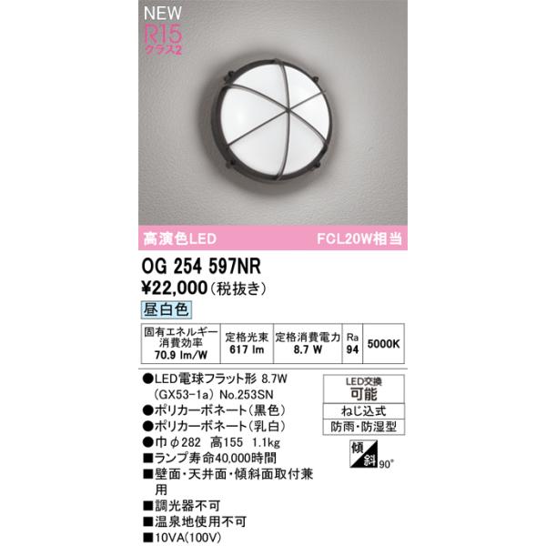 安心のメーカー保証 期間限定特価 OG254597NR（ランプ別梱包）『OG254597#＋NO253SN』 オーデリック ポーチライト LED ☆