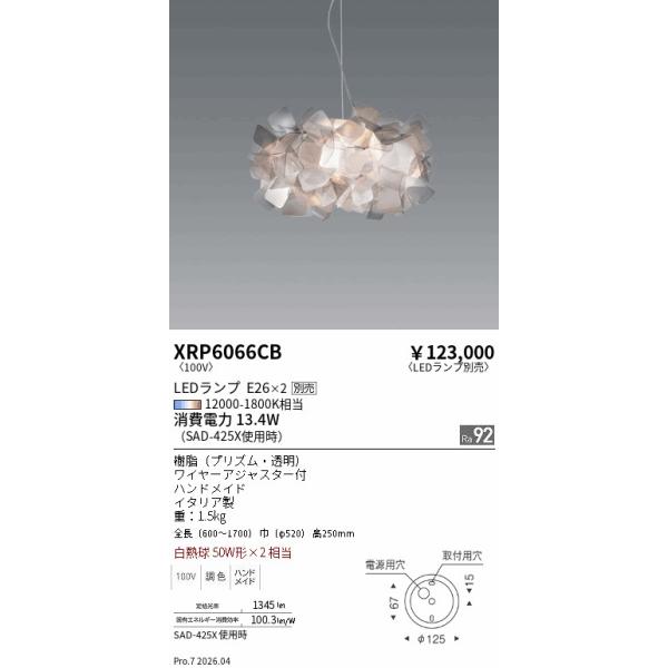 安心のメーカー保証 【インボイス対応店】XRP6066CB 遠藤照明 ペンダント LED ランプ別売  ★ 実績20年の老舗