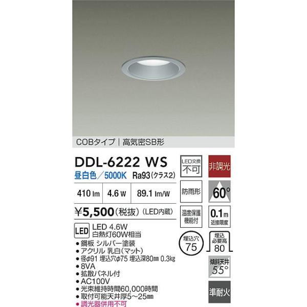 大光電機 安心のメーカー保証【送料無料】大光電機 DDL-6222WS 屋外灯