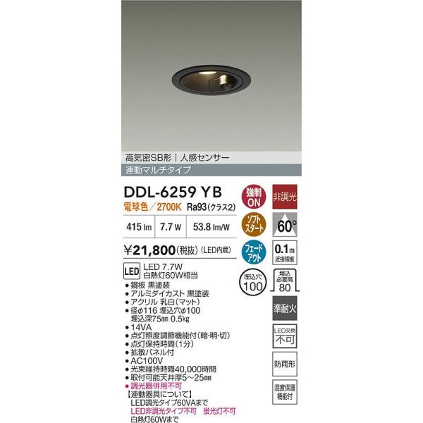 大光電機 安心のメーカー保証【送料無料】大光電機 DDL-6259YB 屋外灯