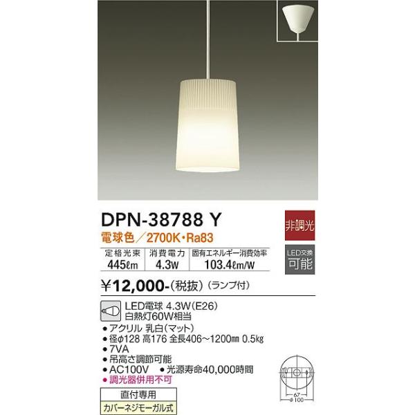 大光電機 安心のメーカー保証【送料無料】大光電機 DPN-38788Y