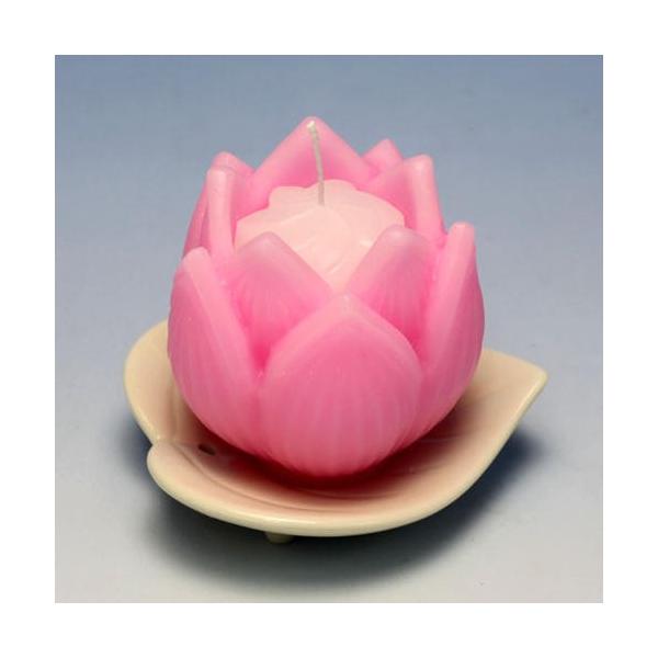 낤 t[ t 2 Zbg Ԍ^ [\N 6 148-01s CX {