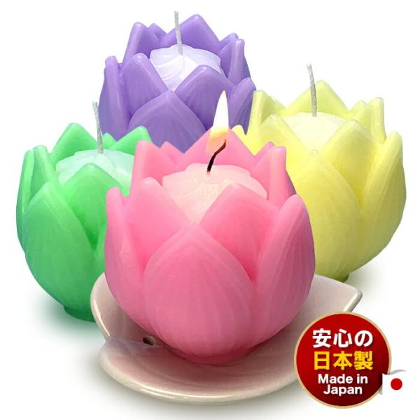 낤 t[ A\[g 4 Zbg t Ԍ^ [\N 6 148-10 CX {