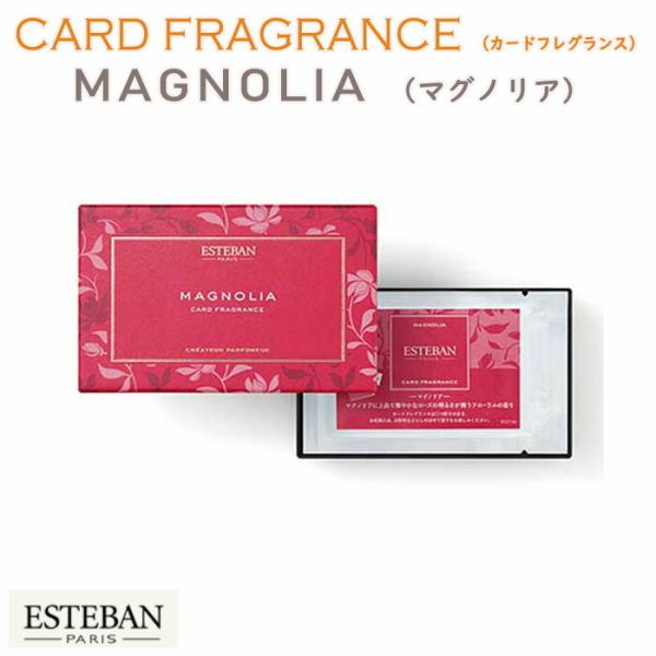 GXeo J[h tOX h }OmA ESTEBAN MAGNOLIA 52146 { Nippon Kodo   TVF h  A}  Mtg v[g