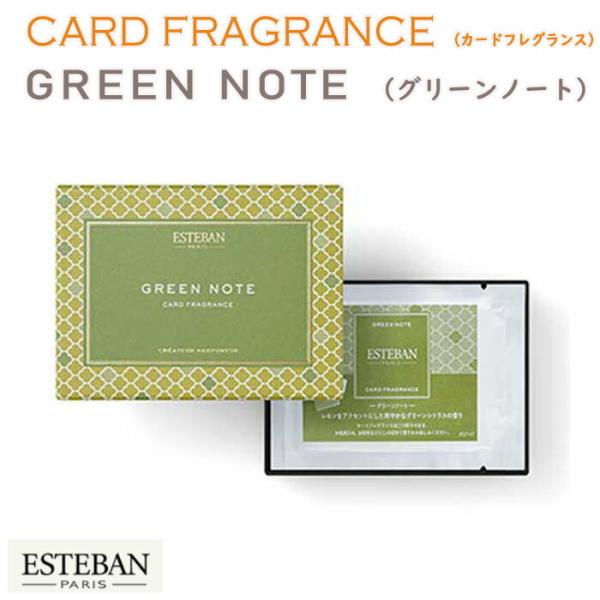 GXeo J[h tOX h O[m[g ESTEBAN 52147 { Nippon Kodo   TVF h   z A}  Mtg