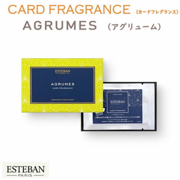 GXeo J[h tOX h AO[ ESTEBAN AGRUMES 52150 { Nippon Kodo   TVF h   z A} 