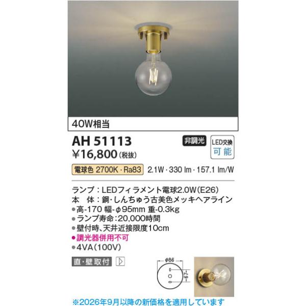 AH51113  �Ɩ���� �f�U�C��LED���^�V�[�����O (40W����) LED�i�d���F�j �R�C�Y�~�Ɩ�(PC)