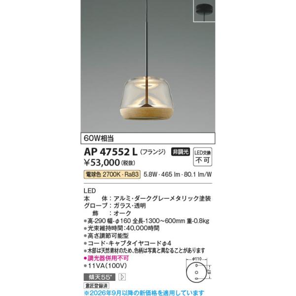 コイズミ照明 AP47552L 照明器具 LEDペンダント (天井直付) LED（電球