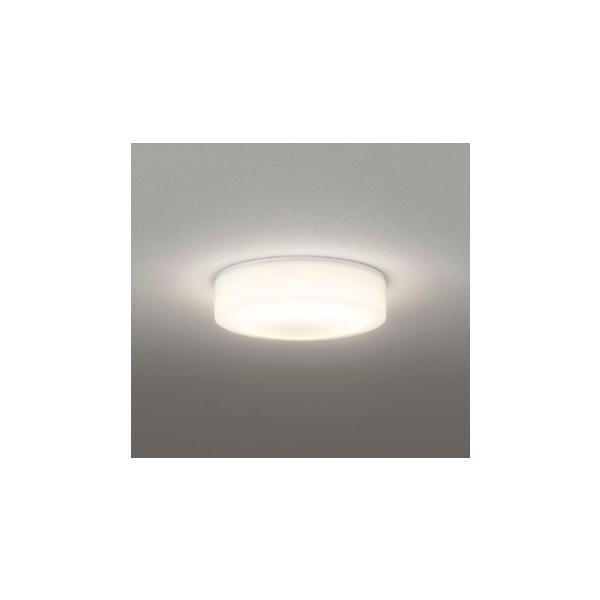 OG254874R 照明器具 エクステリアライト  (白熱灯100W相当) LED（電球色） オーデリック