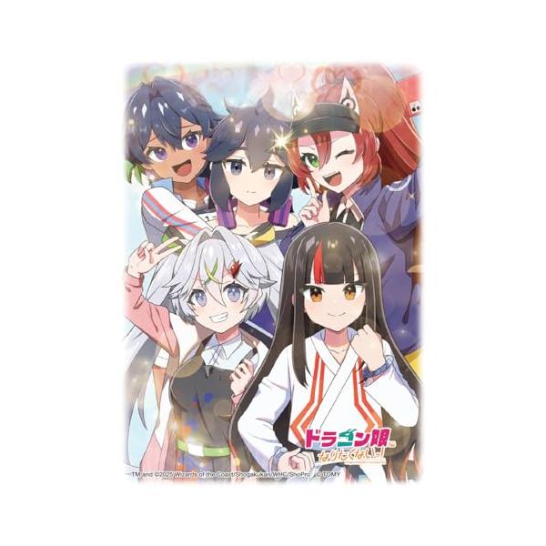 タカラトミーTAKARA TOMY デュエル・マスターズ DXカードスリーブ