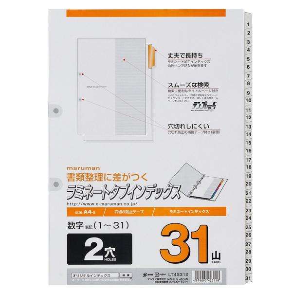 }} Maruman ~l[g^uCfbNX A4 2  (1`31)E31R LT4231S