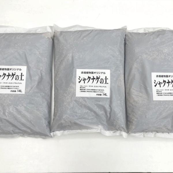 【お買い得！】赤塚オリジナル シャクナゲの土 14L入り 3袋セット（植物との同梱不可）※ツツジ・サツキ・ブルーベリーにも｜用土04-TU