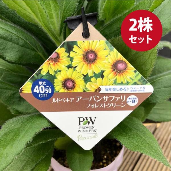 akatsukagarden_n10004698