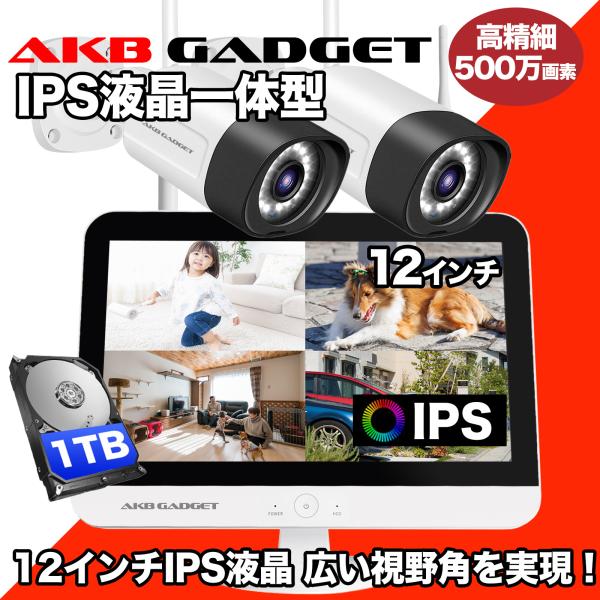 防犯カメラ2台セット12インチ液晶搭載モデル