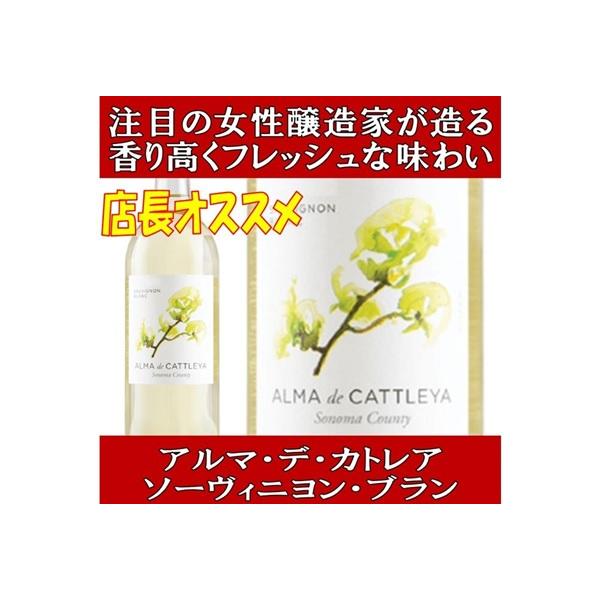 プラチナム フレグランス No 6 バイオレット ワイルドベリー 750ml キラシャン ラメ入り スパークリング ワイン フルーツフレーバー Platinvm Fragrances Buyee Buyee 提供一站式最全面最专业现地yahoo Japan拍卖代bid代拍代购服务 Bot Online