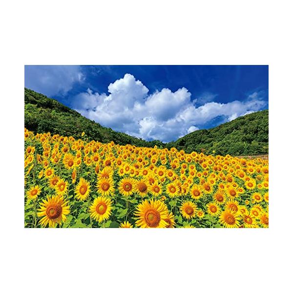 akenonatter2-2_s-b09tr7m4x3-