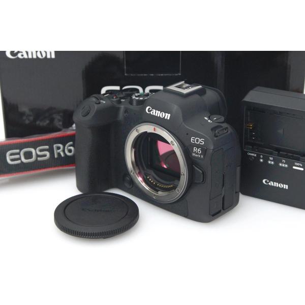 極美品｜キヤノン EOS R6 Mark II ボディ γT425-2Q3 : 211998-5