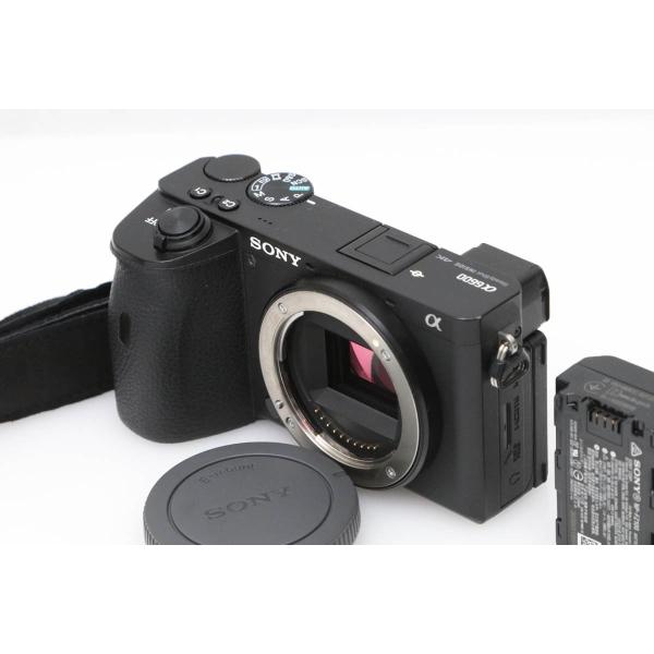 【全額返金保証】良品｜ソニー α6600 ILCE-6600 ボディ CA01-D677-4C3C