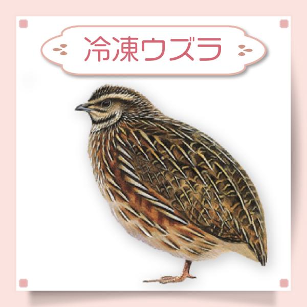 冷凍 ウズラ うずら エサ 餌 78羽 未処理 猛禽 フクロウ タカ 鷹
