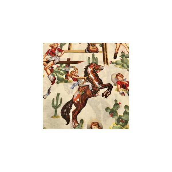 ALEXANDER HENRY USA857 from the hip 50cm×110cm幅 輸入生地 USAコットン メーカー直送 代引不可 北海道沖縄離島不可