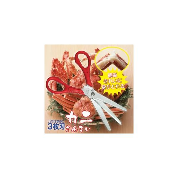 y[֑IzH 3nnT~ Jj܂ 807953