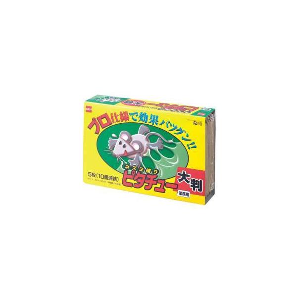 Zn[Wp USV[g lY~߂ s^`[ 唻