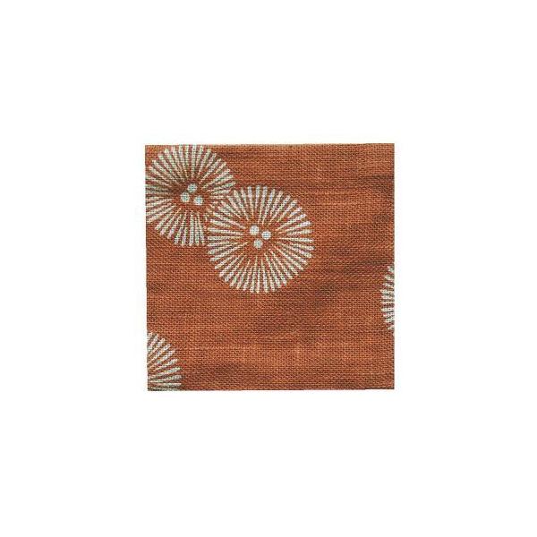 EBM aR[X^[ 10 B0045 P Ԓ ]