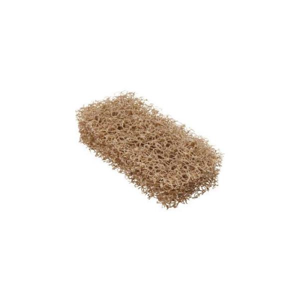 X[G 3M ZUND NABE ̃RQƂ킵