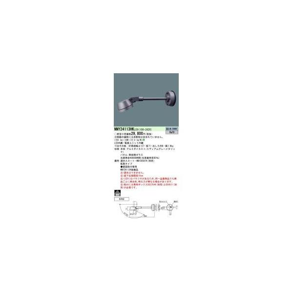 100�`LED�X�|�b�g5000K�g�U NNY24113HKLE9