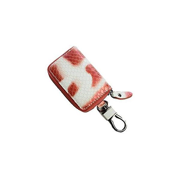 X}[gL[P[X pC\V[Y zCgbh ASK-PS006