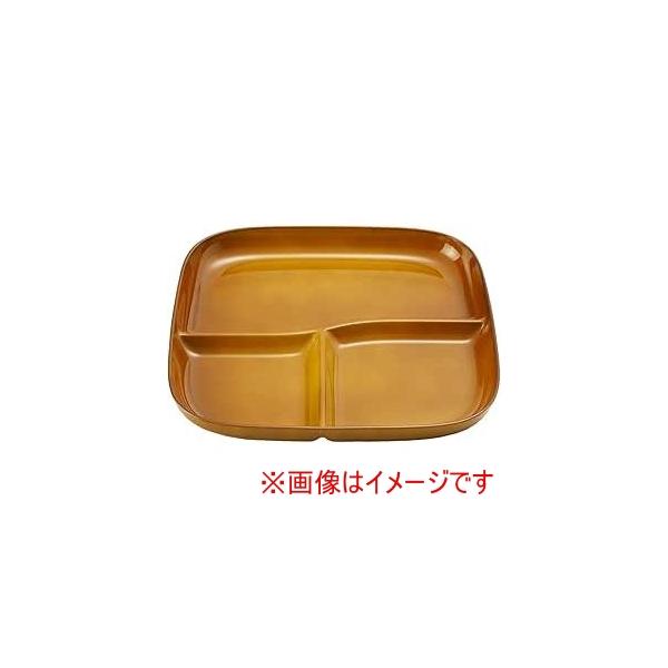 他サイト： アサヒ興洋 AZ23-08 SoLow 仕切りプレート レトロアンバー Mの商品画像