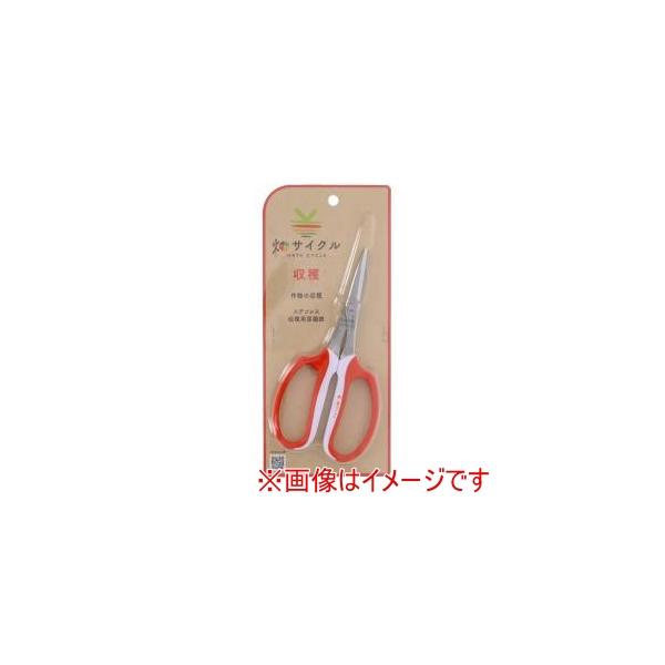 他サイト： 高儀 収穫用菜園鋏 160mmの商品画像