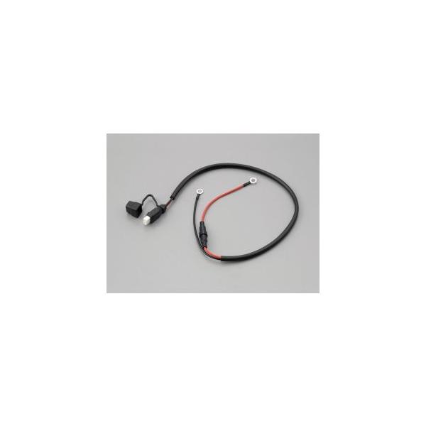 fCgi 71637  [dphoLbvtԑ̔z DAYTONA