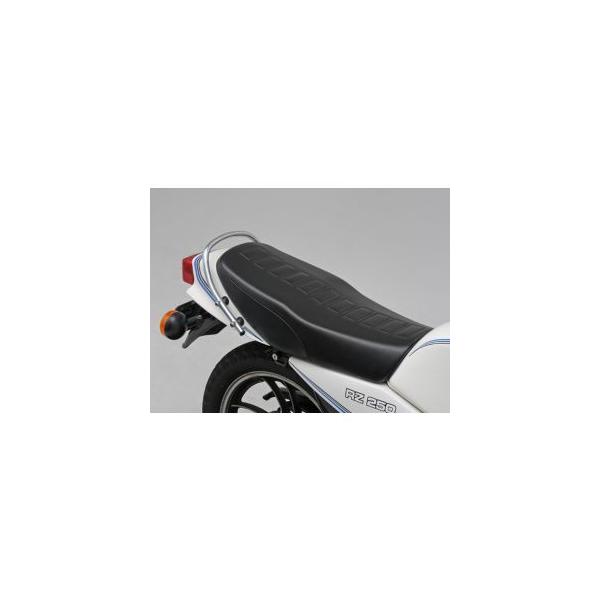 fCgi 73630 RIPMOV[g(STD^Cv)/RZ250 DAYTONA