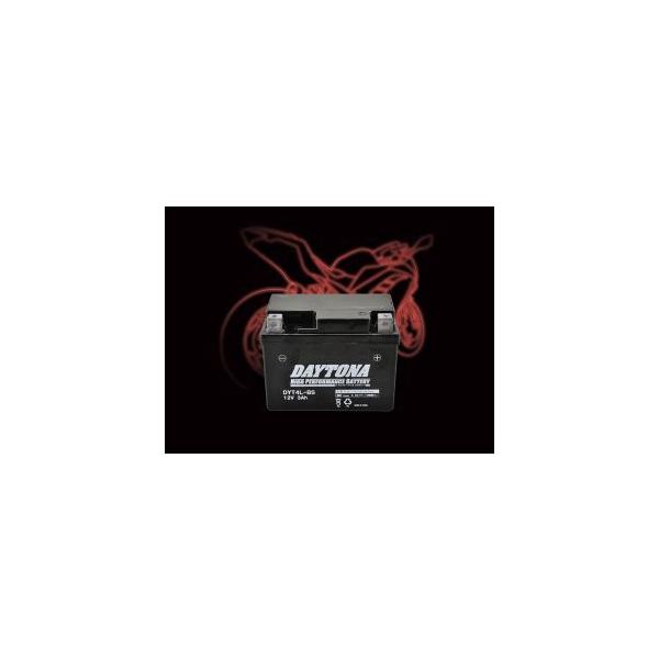 fCgi 92873 nCptH[}Xobe[ DYT4L-BS DAYTONA