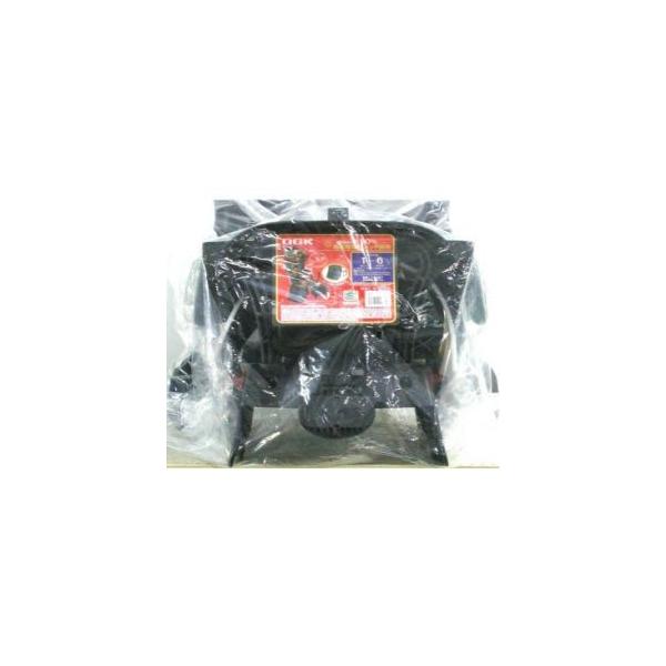 I[W[P[Z RBC-015DX `ChV[g  q悹 ubN uE OGK giken