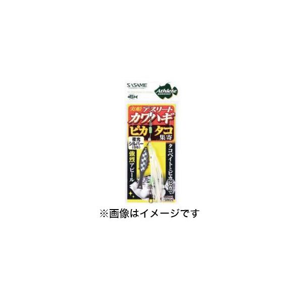 y[֑Izߐj DJnM sJ^RW sNVo[ FSM24