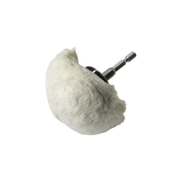 つきのこ 英語版 RA04-EN027 Danger!? Tsuchinoko? 未界域のツチノコ