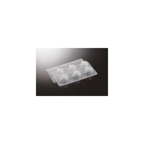 �J���_ CS�[���[�^ 6P �K�N ����t CS-02