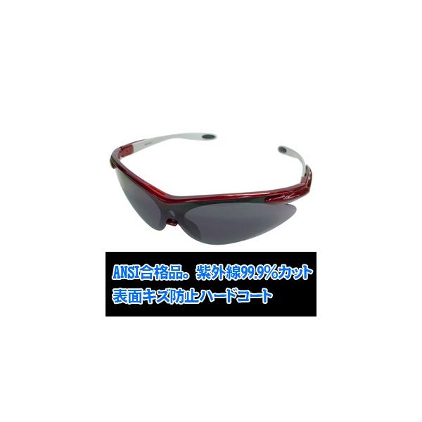 DBLTACT DT-SG-02B ubN Z[teBS[O ی상Kl OR[|[V