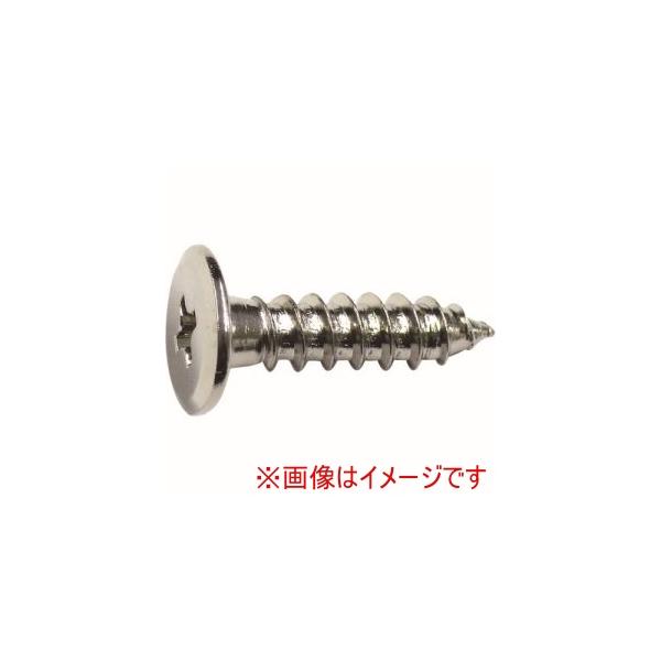 他サイト： ダイドーハント　10179187 ニッケル 超低頭タッピング 3x20 12本入の商品画像