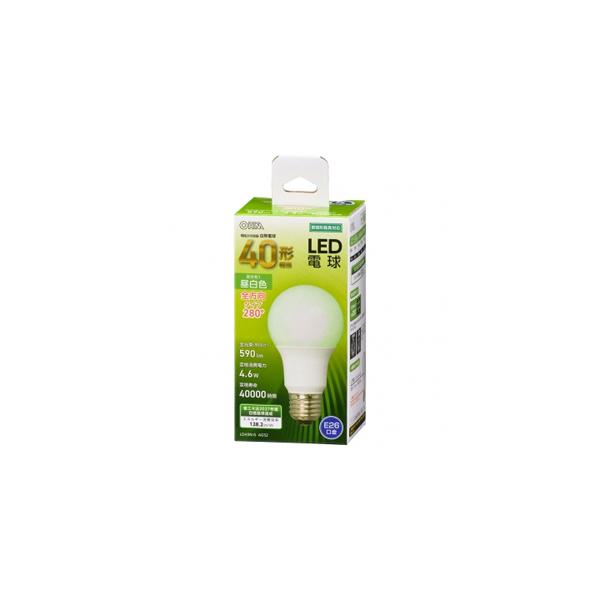 【取寄品 出荷：約4−8日 土日祝除く】