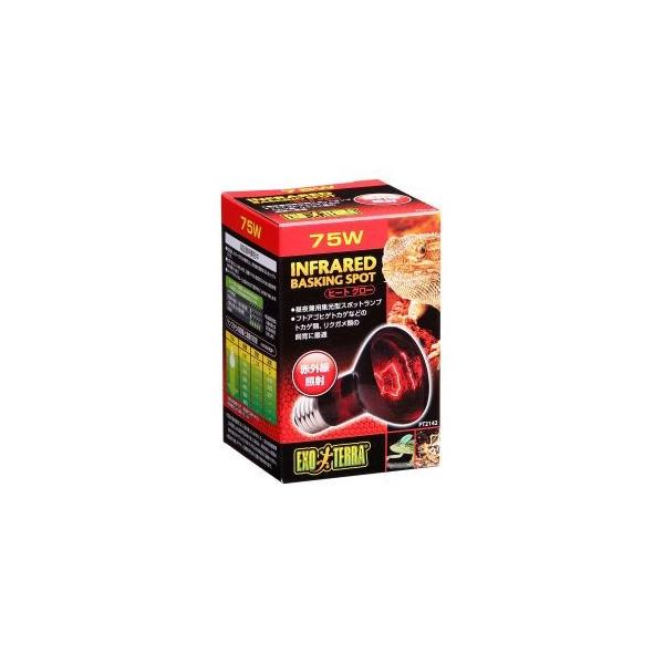 WFbNX GL]e q[gO[ԊOƎ˃X|bgv 75W ঒ ۉ