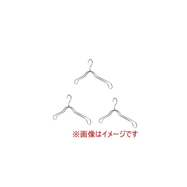 【取寄品 出荷：約5−9日 土日祝除く】丈夫でサビにくいステンレス製ハンガー
