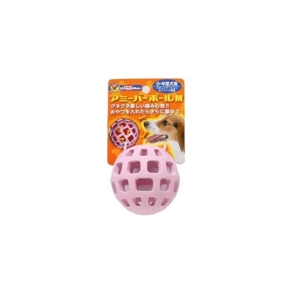 hM[} A~[o[ {[ MTCY -^p  