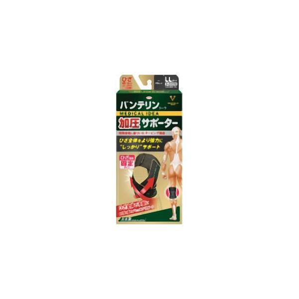 a Kowa oeR[T|[^[ ЂpŒ 傫 ubN