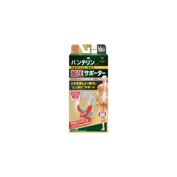 a Kowa oeR[T|[^[ ЂpŒ 傫 zCg