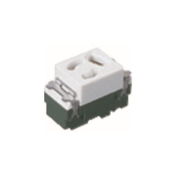 【取寄品 出荷：約5−9日 土日祝除く】